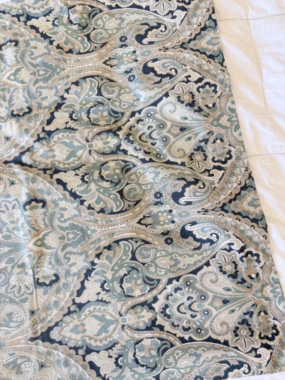 Pottery Barn Mackenna Paisley Euro Sham
